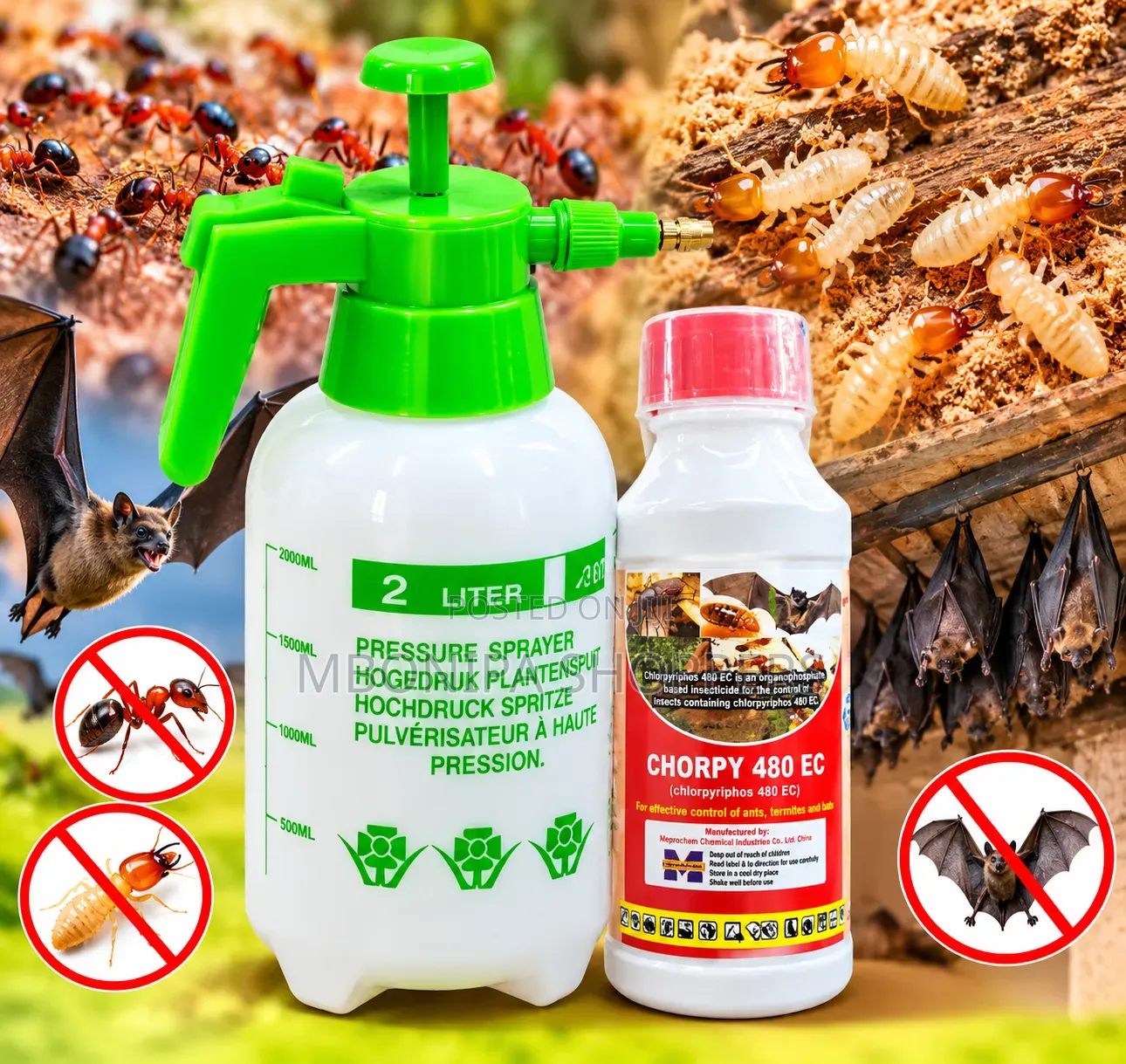 Termites and Bats Killing Chemical 1ltr With Free 2L Spray Bottle