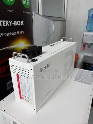 Dyness 25.6V 100Ah 2.56kWh Solar Battery 10-Year Warranty