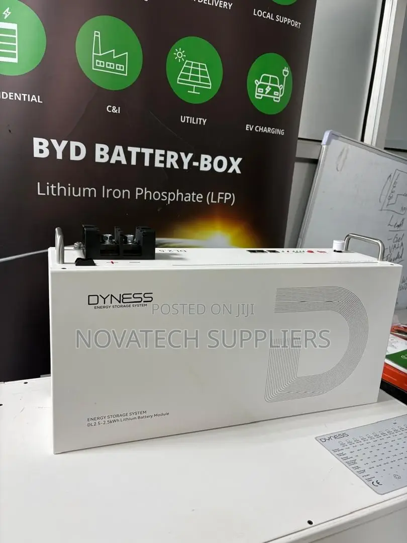 Dyness 25.6V 100Ah 2.56kWh Battery 16 Parallel 10 Years Warranty