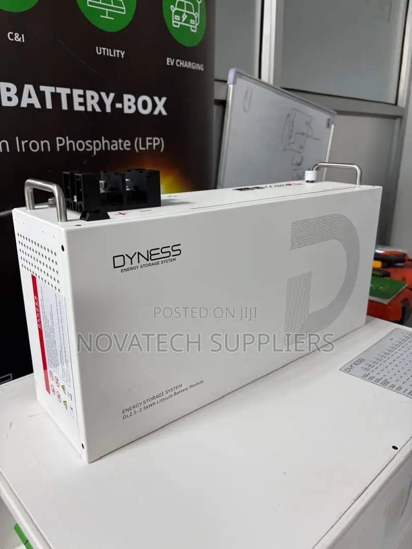 Dyness 25.6V 100Ah 2.56kWh Battery 16 Parallel 10 Years Warranty