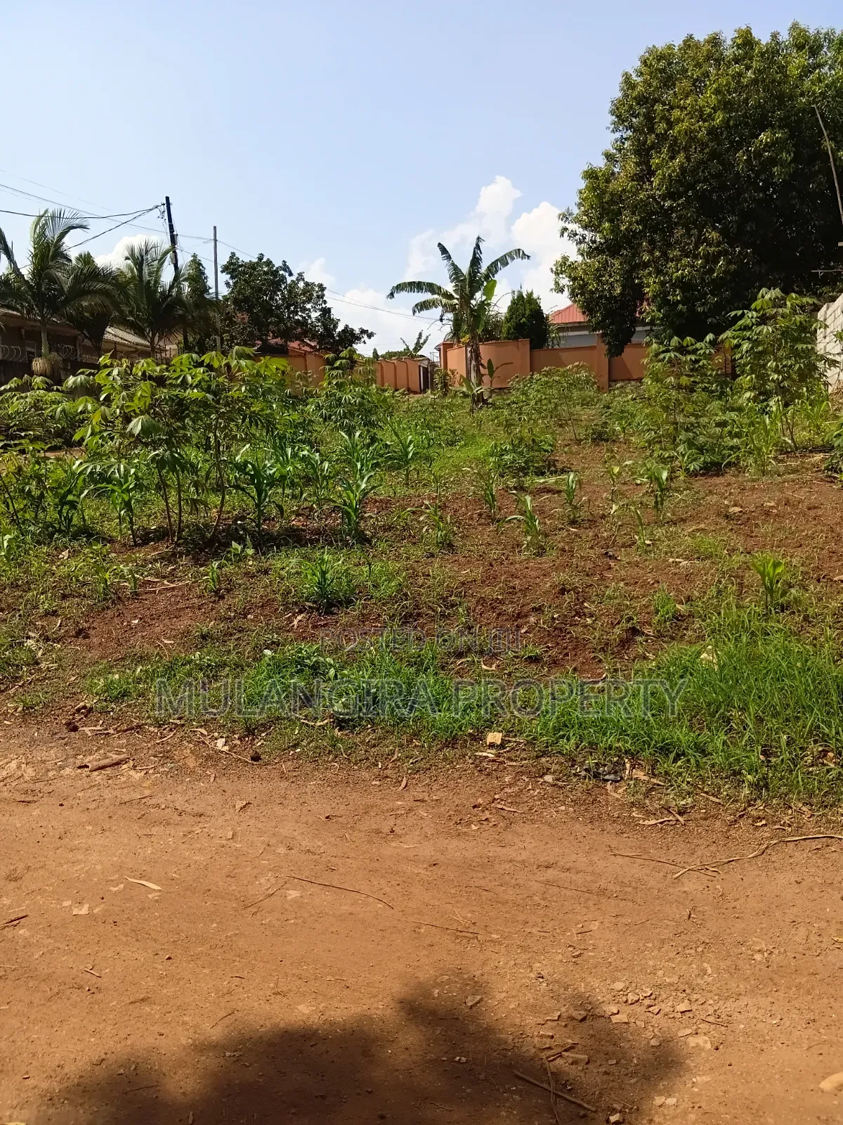 Busukuma Residential Plots on Sale