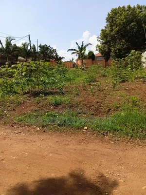 Busukuma Residential Plots on Sale