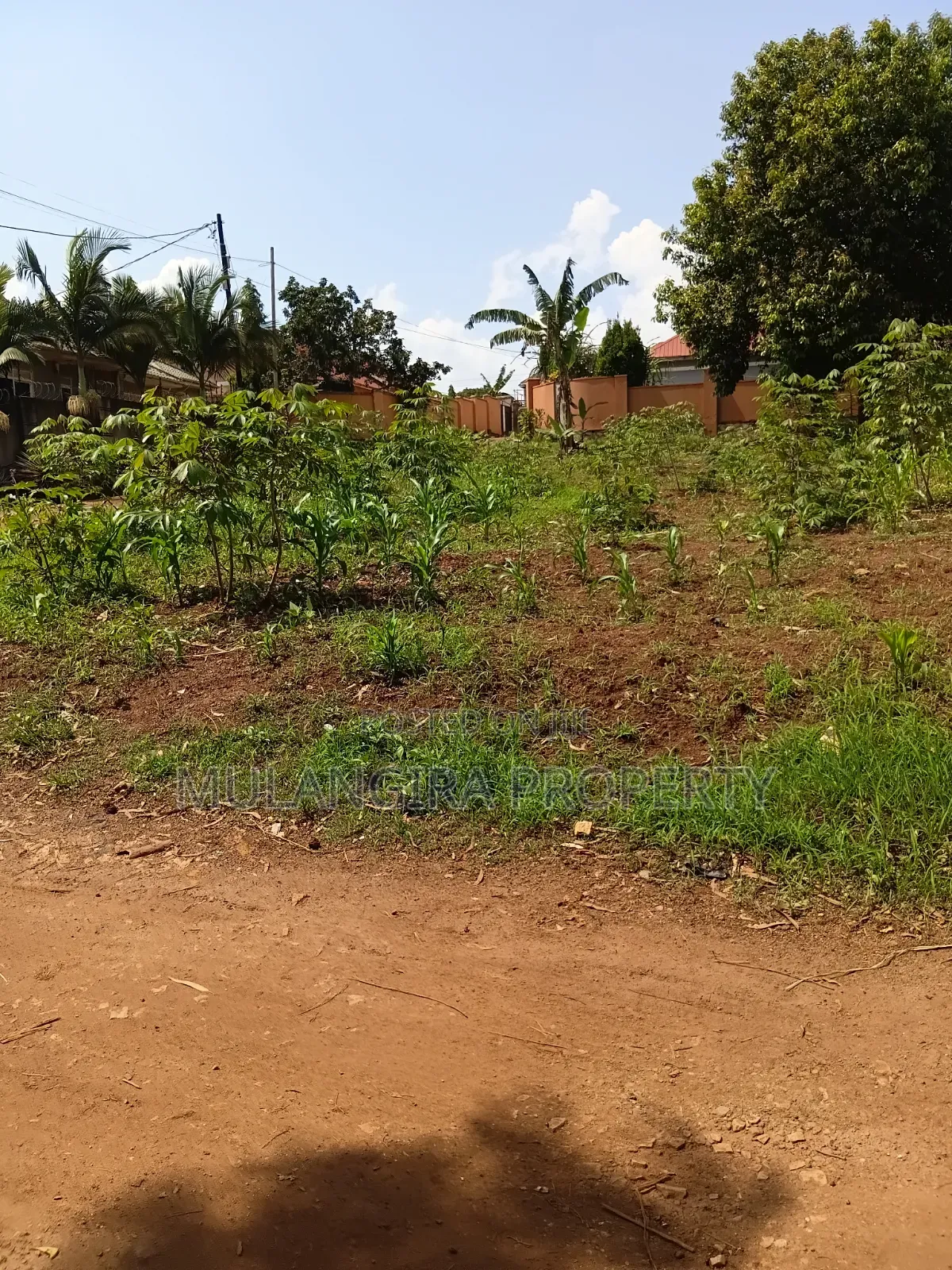 Busukuma Residential Plots on Sale