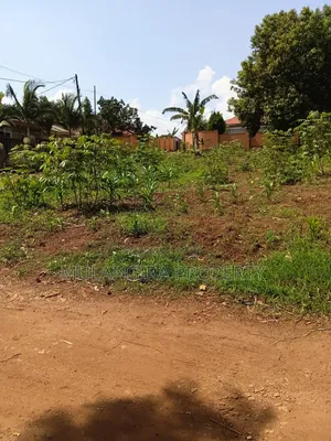 Busukuma Residential Plots on Sale