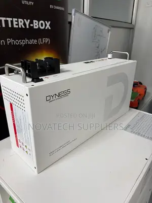 Dyness 25.6V 100Ah Solar Battery 2.56kWh 75A Max Discharge
