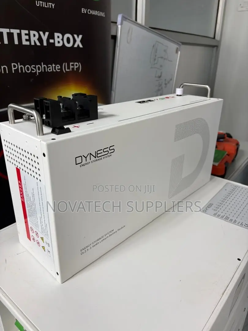 Dyness 25.6V 100Ah Solar Battery 2.56kWh 75A Max Discharge