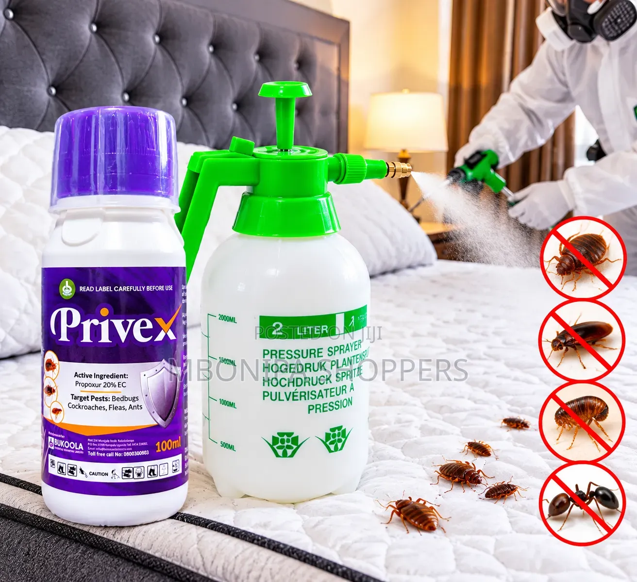Bedbugs Insecticides, Not Smelling 100mls With Free 2L Spray Bottle