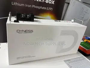 Dyness 25.6V 100Ah Battery 2.56kWh 6000 Cycles Wall or Rack Mount