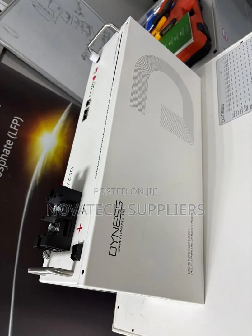 Dyness 25.6V 100Ah Battery 2.56kWh 6000 Cycles Wall or Rack Mount