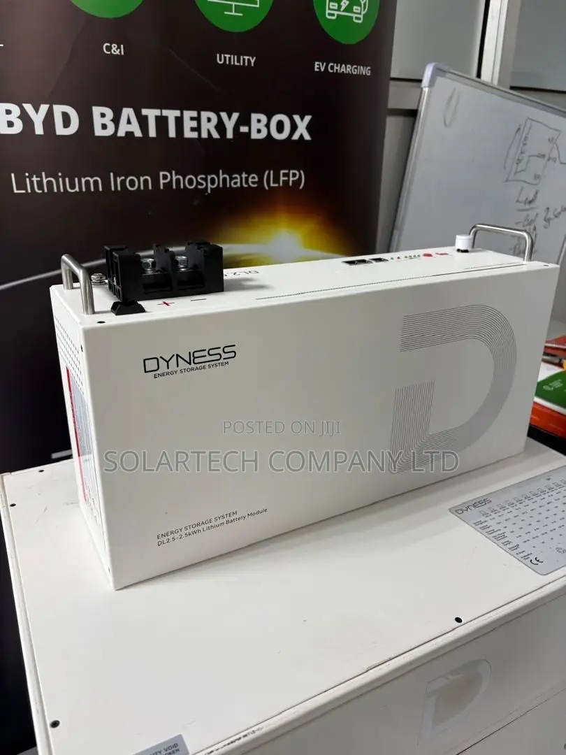 25.6V 100Ah 2.56kWh Lithium Battery 6000 Cycles 10 Years