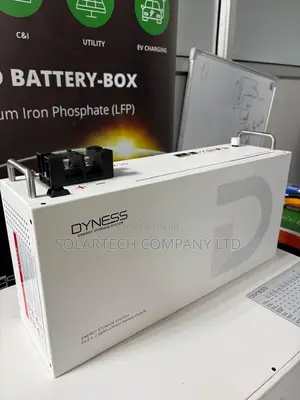 Dyness 25.6V 100Ah 2.56kWh Battery 16 Parallel 10 Years Warranty