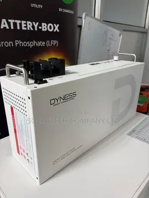 Dyness 25.6V 100Ah 2.56kWh Battery 16 Parallel 10 Years Warranty