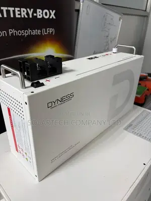 Dyness 25.6V 100Ah Solar Battery 2.56kWh 75A Max Discharge