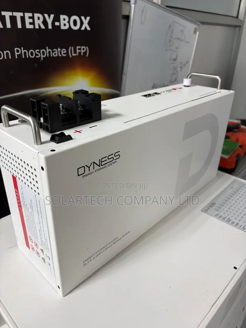 Dyness 25.6V 100Ah Solar Battery 2.56kWh 75A Max Discharge