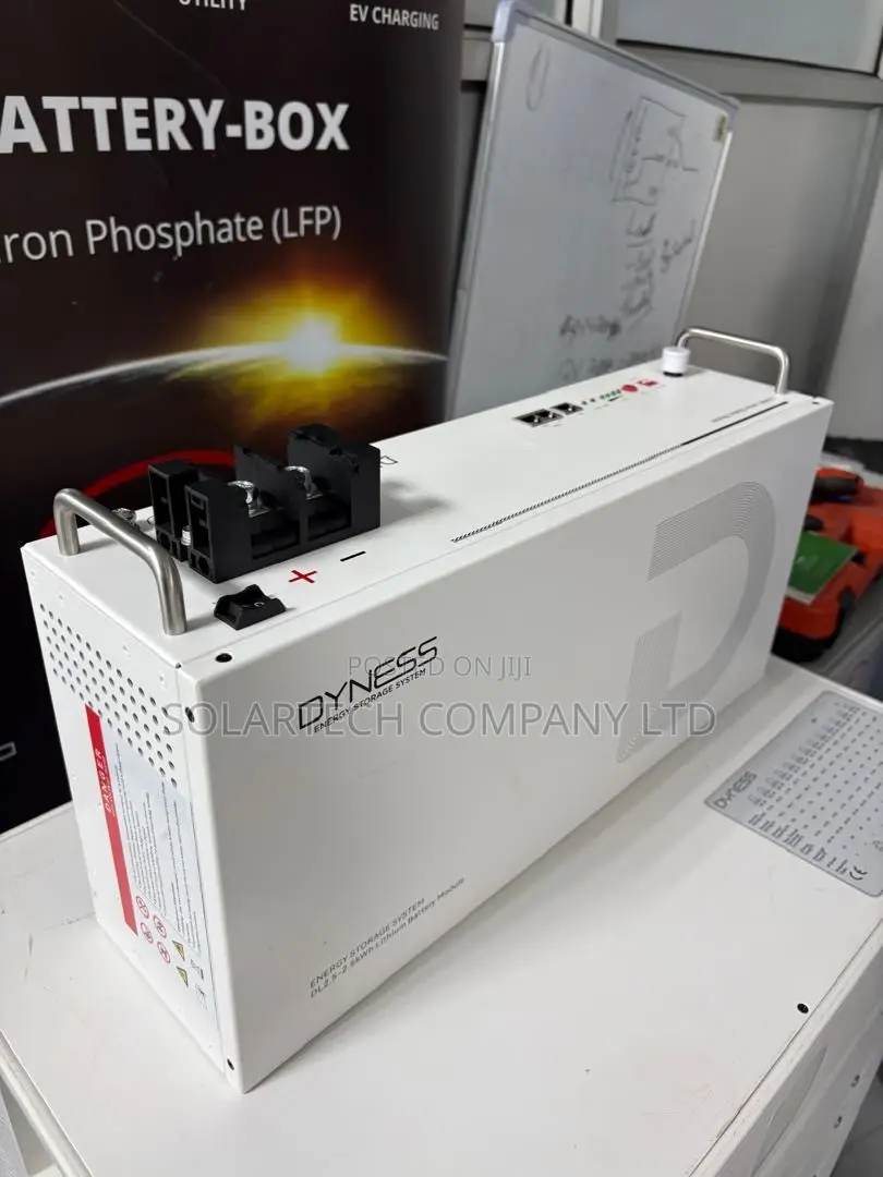 Dyness 25.6V 100Ah Solar Battery 2.56kWh 75A Max Discharge