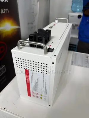 Dyness 25.6V 100Ah Battery 2.56kWh 6000 Cycles Wall or Rack Mount