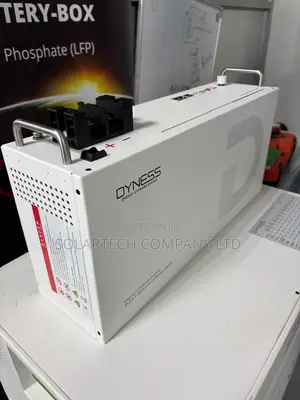 Dyness 25.6V 100Ah Battery 2.56kWh 6000 Cycles Wall or Rack Mount