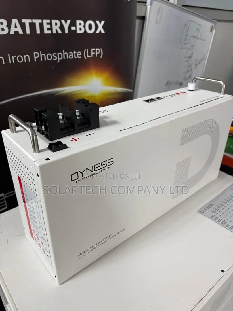 Dyness 2.56kWh 100Ah Solar Battery 25.6V 6000 Cycles 16 Parallel