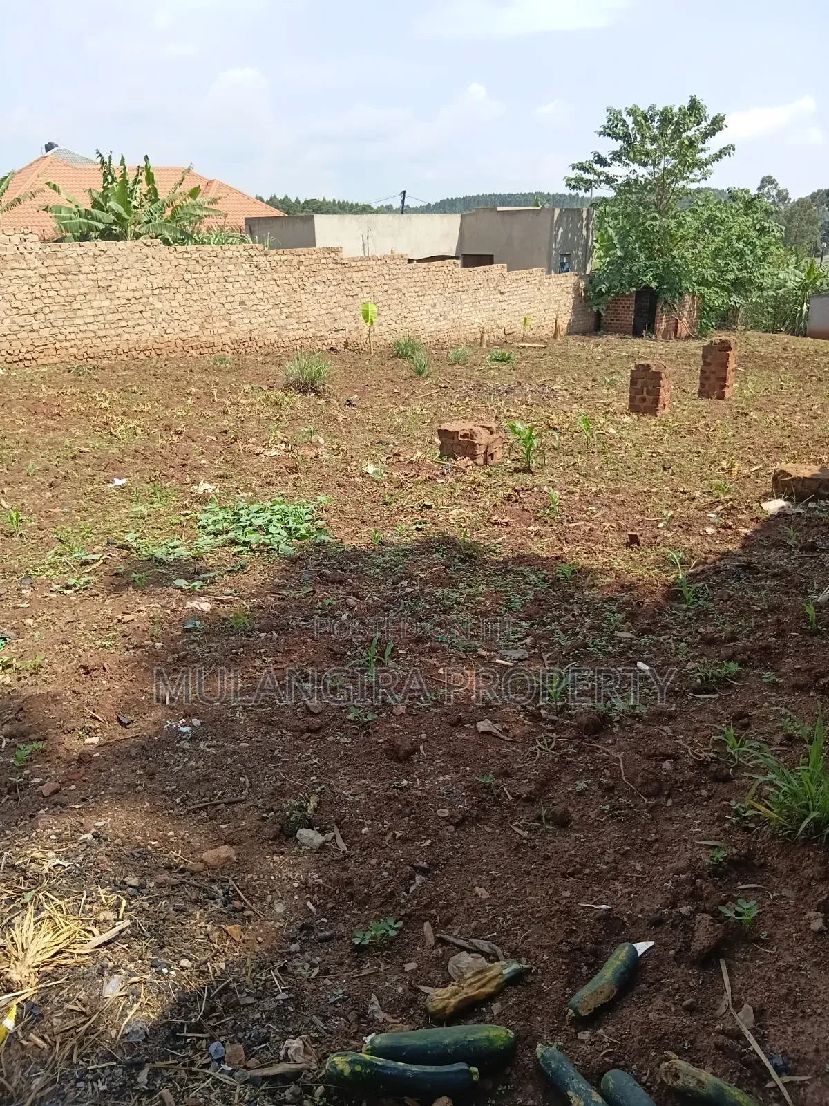 Namugongo Budugala Plots on Sale at 35m