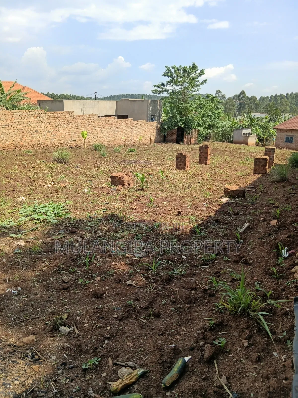 Namugongo Budugala Plots on Sale at 35m