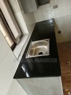 Black Galaxy Granite Stone