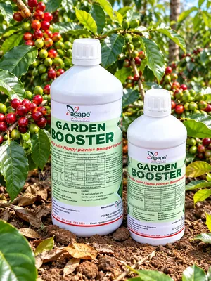Agape Garden Booster for Coffee – Natural Soil & Plant Growth Booster