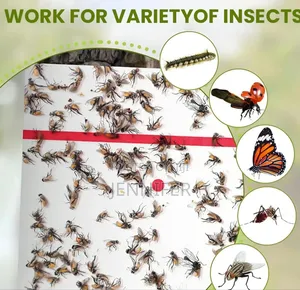 Trap Expert Flying Insect Glue Sticker