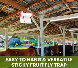 Trap Expert Flying Insect Glue Sticker