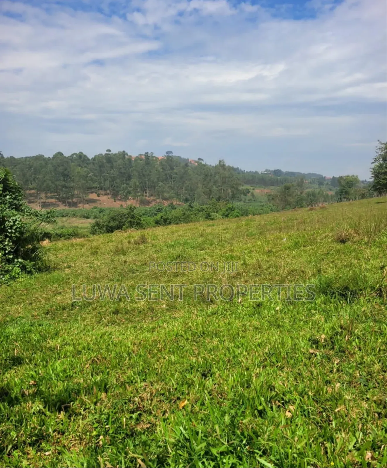 1 Sq Mile Msilo Land for Sale NAKASONGOLA