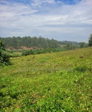 1 Sq Mile Msilo Land for Sale NAKASONGOLA