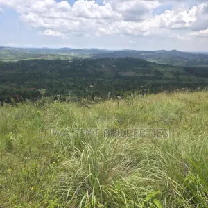 1 Sq Mile Msilo Land for Sale NAKASONGOLA