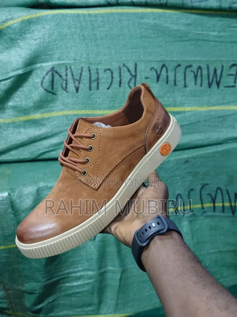 Original Brand New Mens TIMBERLAND Low Causal Shoes