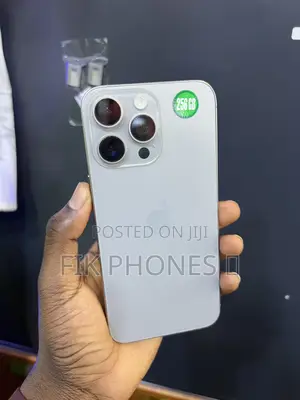 Apple iPhone 15 Pro Max 256 GB Silver