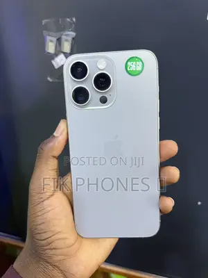 Apple iPhone 15 Pro Max 256 GB Silver