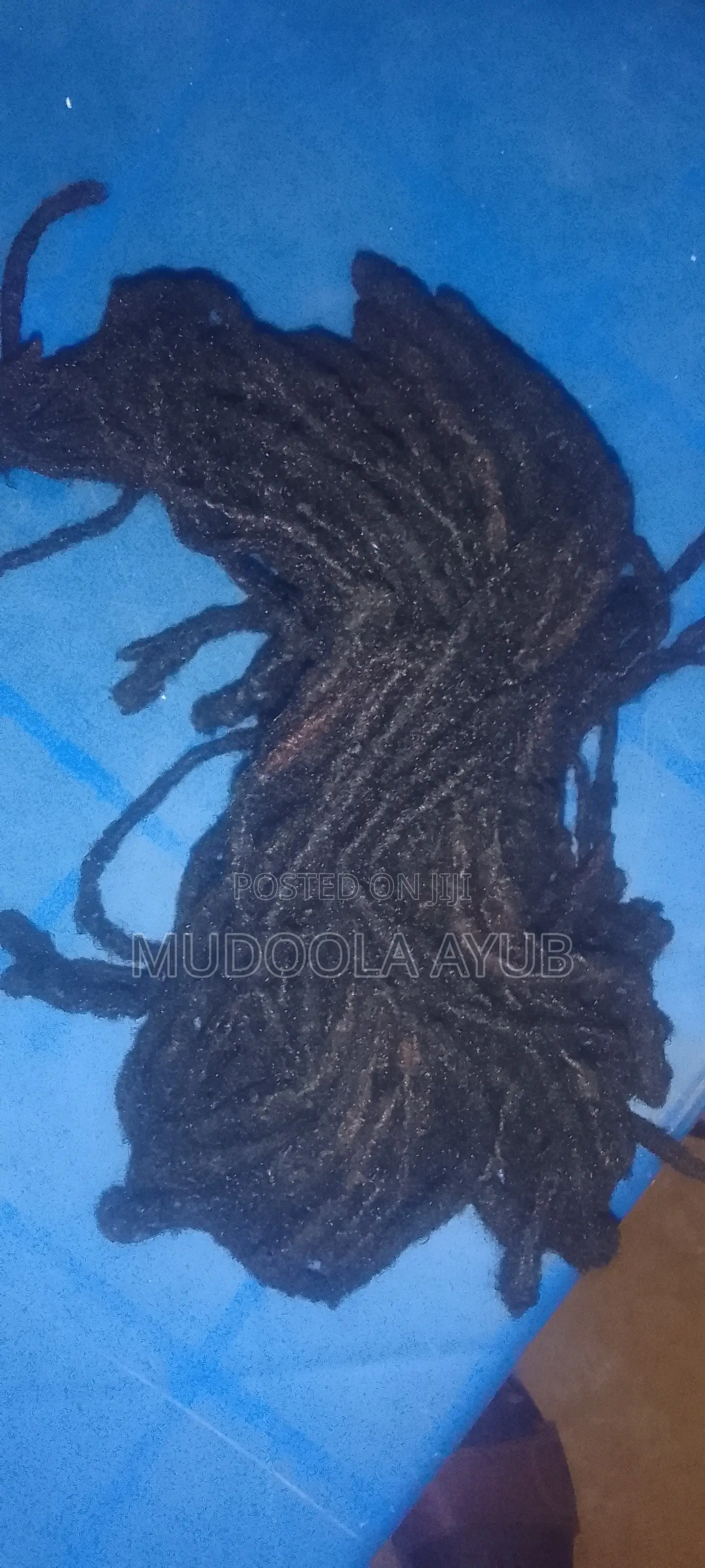 Natural Dreadlocks. 67 Strands, 10 Inches Long. Thick and 100% Natural