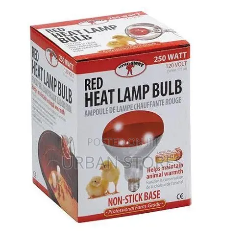 Infrared Brooder Lamp -1 PC