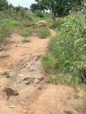 Plot of Land for Sale 100x50 Ft