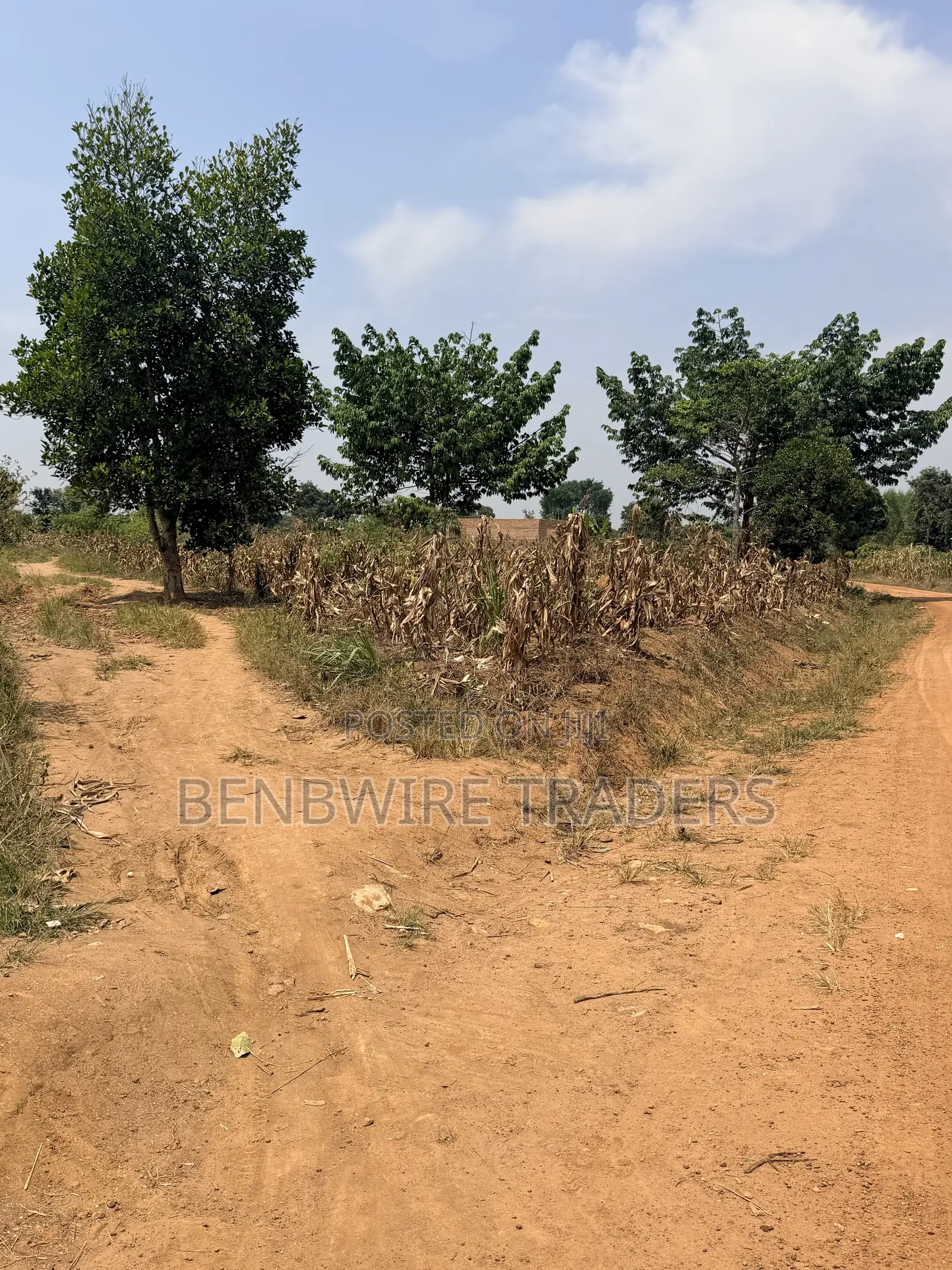 Plot of Land for Sale 100x50 Ft