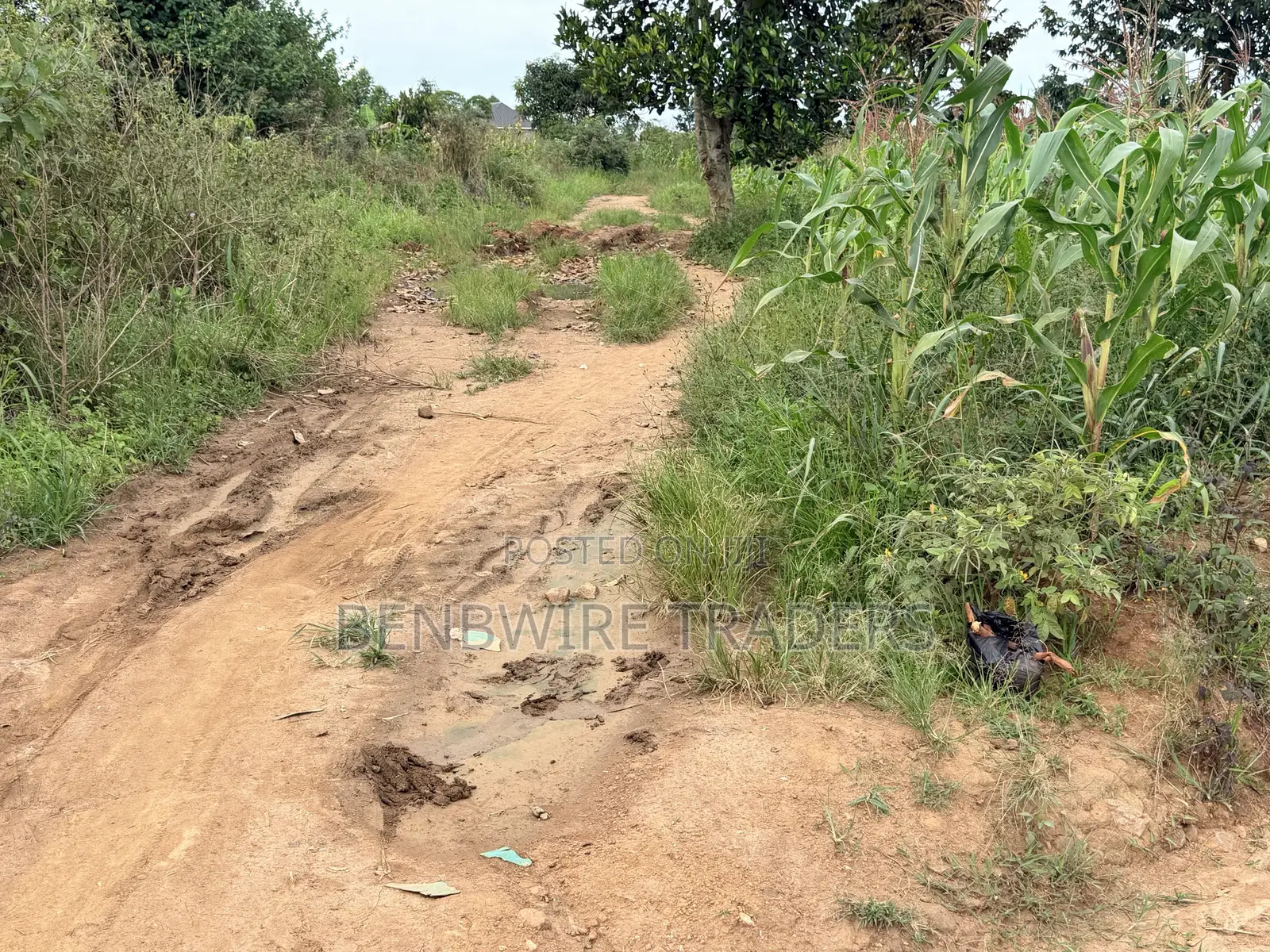 Plot of Land for Sale 100x50 Ft