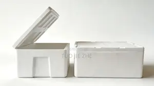 EPS Foam Box