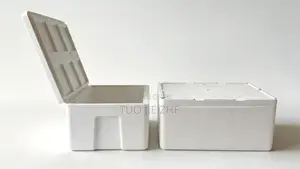 EPS Foam Box