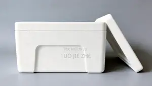 EPS Foam Box