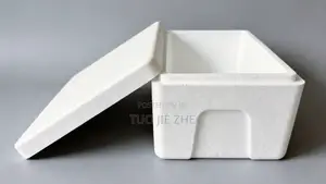 EPS Foam Box