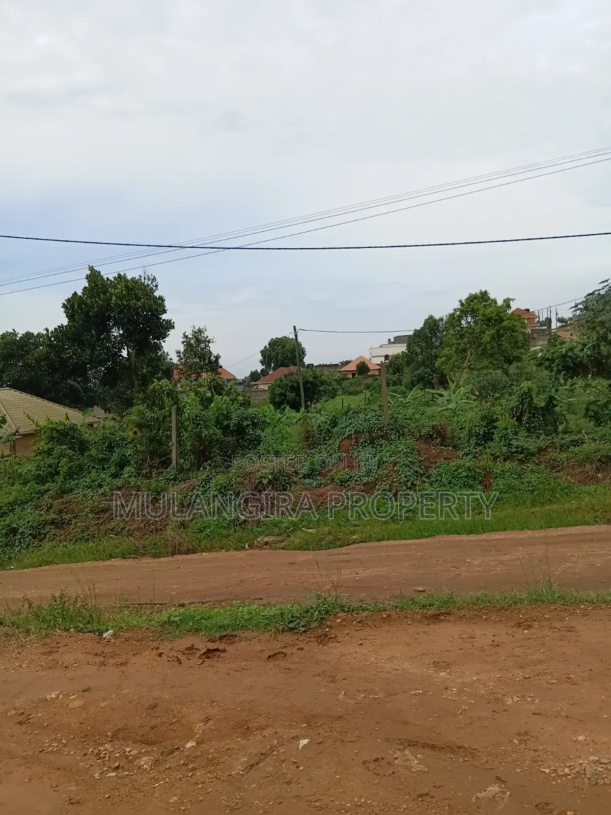 50×100ft Plots for Sale – Kiyunga at Ugx 34m