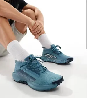 Nike Running Shoe Pegasus Trail 5 Gore-Tex - Smokey Blue