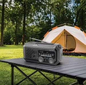 Green Lion G-Radio Lite With Power Bank Flashlight