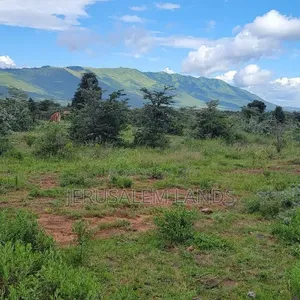 Sq Mile Land on Sale and Lease Luwero Kyankwanzi Mayoga