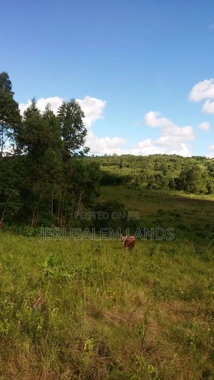 Sq Mile Land on Sale and Lease Luwero Kyankwanzi Mayoga