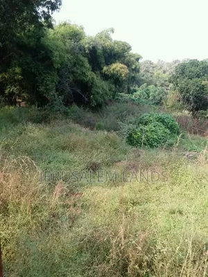 Sq Mile Land on Sale and Lease Luwero Kyankwanzi Mayoga