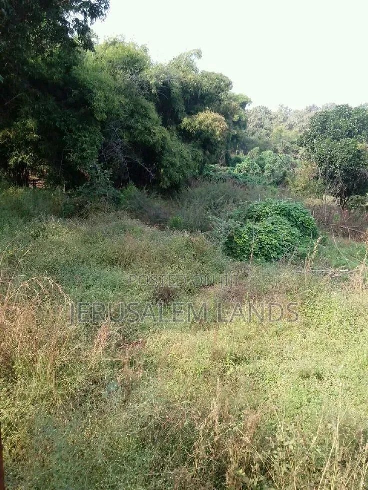 Sq Mile Land on Sale and Lease Luwero Kyankwanzi Mayoga